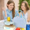 imageBluboon Lunch Box for Women Cute Lunch Bag Reusable Insulated Lunch Bags Large Capacity Lunchbox Cooler for Work Picnic or TravelLight blue white stripes